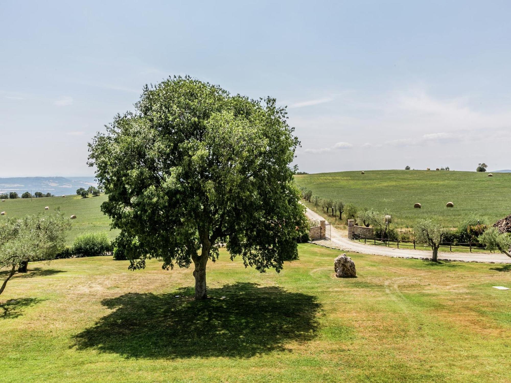 Elegant Apartment Only 1 Hour From Rome Narni Zewnętrze zdjęcie
